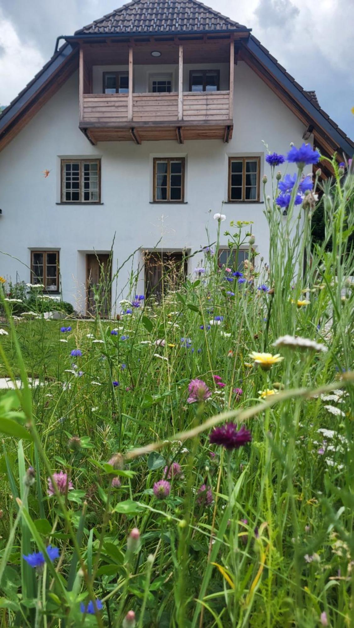 House Leska Kranjska Gora Exterior foto